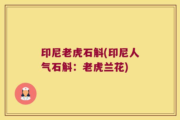 印尼老虎石斛(印尼人气石斛：老虎兰花)