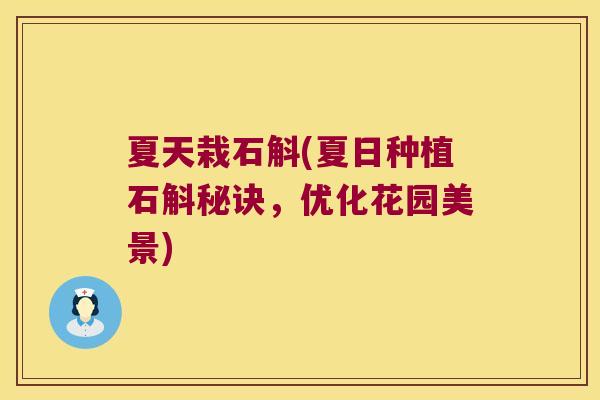 夏天栽石斛(夏日种植石斛秘诀，优化花园美景)