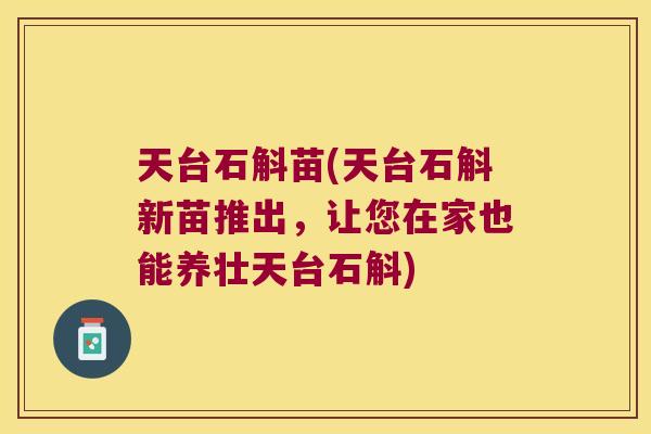 天台石斛苗(天台石斛新苗推出，让您在家也能养壮天台石斛)