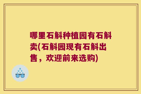 哪里石斛种植园有石斛卖(石斛园现有石斛出售，欢迎前来选购)