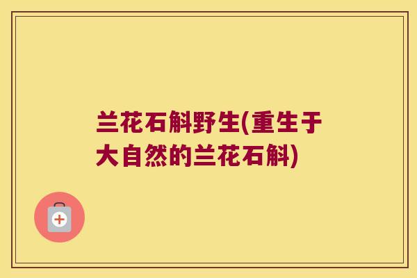 兰花石斛野生(重生于大自然的兰花石斛)