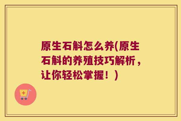 原生石斛怎么养(原生石斛的养殖技巧解析，让你轻松掌握！)