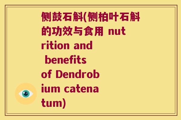 侧鼓石斛(侧柏叶石斛的功效与食用 nutrition and benefits of Dendrobium catenatum)