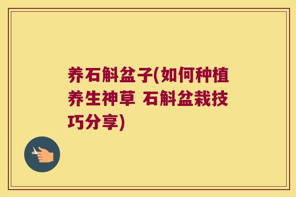 养石斛盆子(如何种植养生神草 石斛盆栽技巧分享)