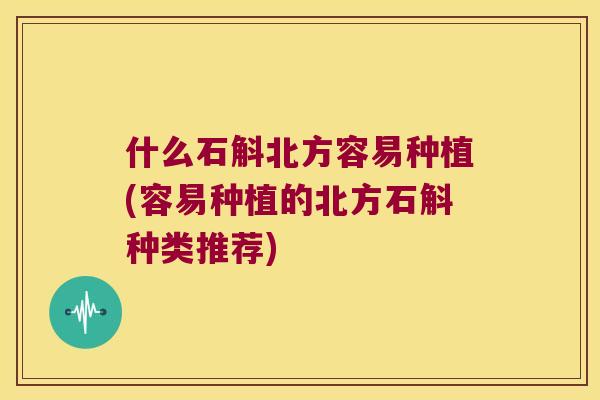 什么石斛北方容易种植(容易种植的北方石斛种类推荐)