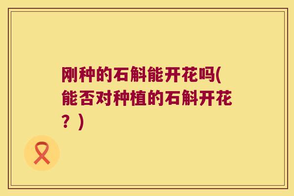 刚种的石斛能开花吗(能否对种植的石斛开花？)