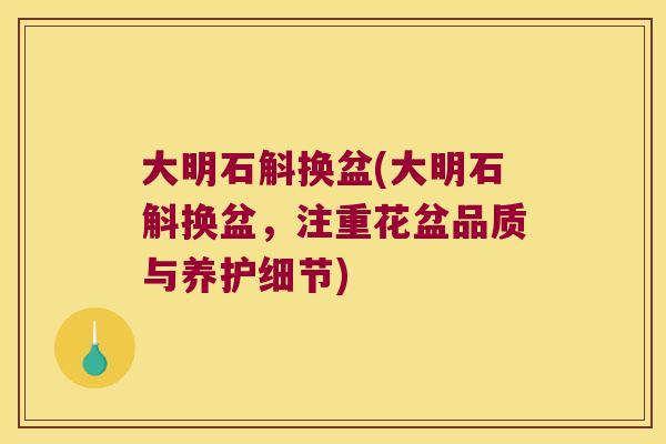 大明石斛换盆(大明石斛换盆，注重花盆品质与养护细节)