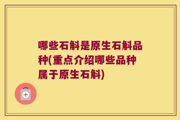 哪些石斛是原生石斛品种(重点介绍哪些品种属于原生石斛)