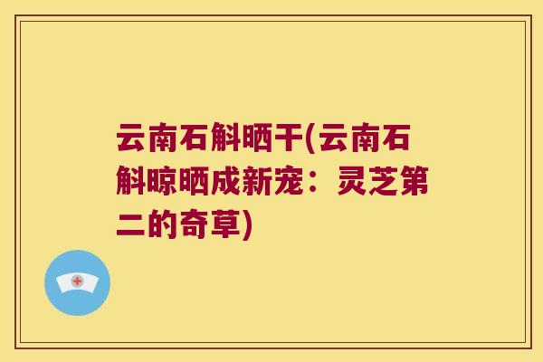 云南石斛晒干(云南石斛晾晒成新宠：灵芝第二的奇草)