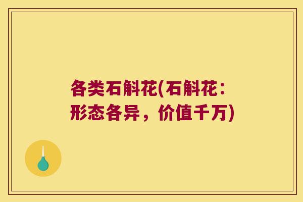 各类石斛花(石斛花：形态各异，价值千万)