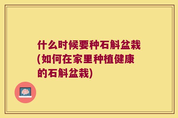 什么时候要种石斛盆栽(如何在家里种植健康的石斛盆栽)