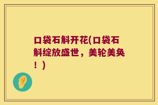 口袋石斛开花(口袋石斛绽放盛世，美轮美奂！)