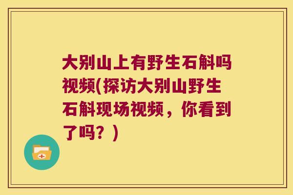 大别山上有野生石斛吗视频(探访大别山野生石斛现场视频，你看到了吗？)