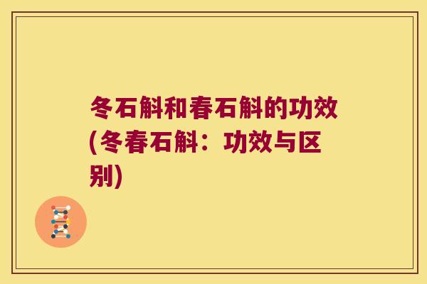 冬石斛和春石斛的功效(冬春石斛：功效与区别)