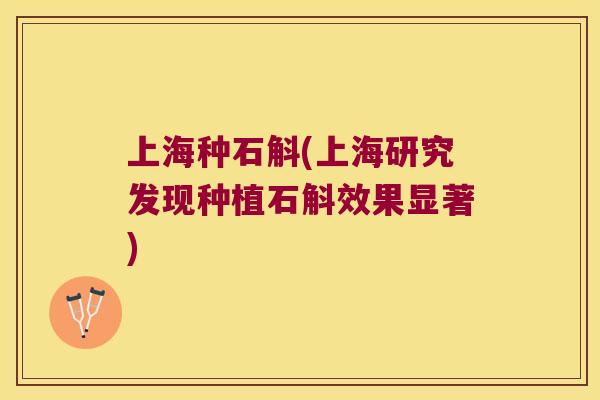 上海种石斛(上海研究发现种植石斛效果显著)