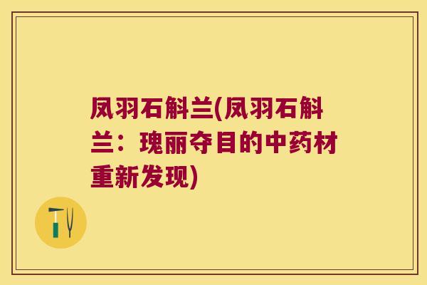 凤羽石斛兰(凤羽石斛兰：瑰丽夺目的材重新发现)