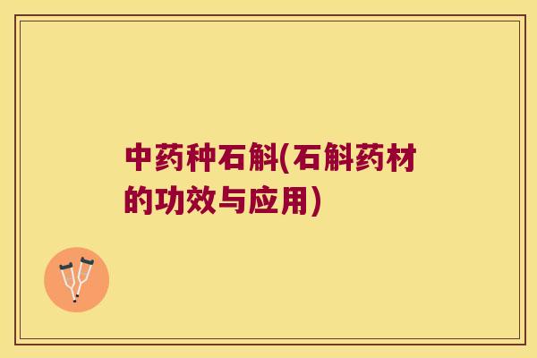 种石斛(石斛药材的功效与应用)