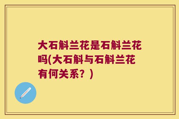 大石斛兰花是石斛兰花吗(大石斛与石斛兰花有何关系？)
