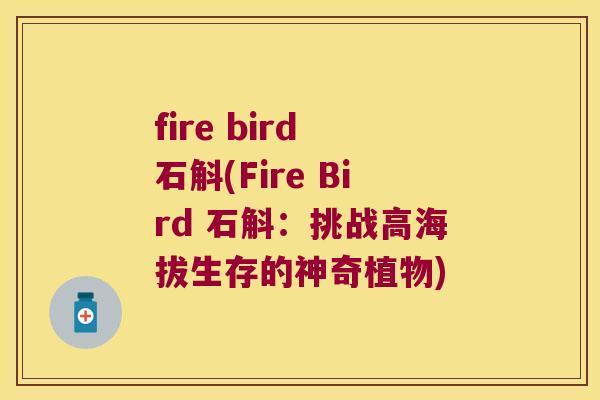fire bird 石斛(Fire Bird 石斛：挑战高海拔生存的神奇植物)
