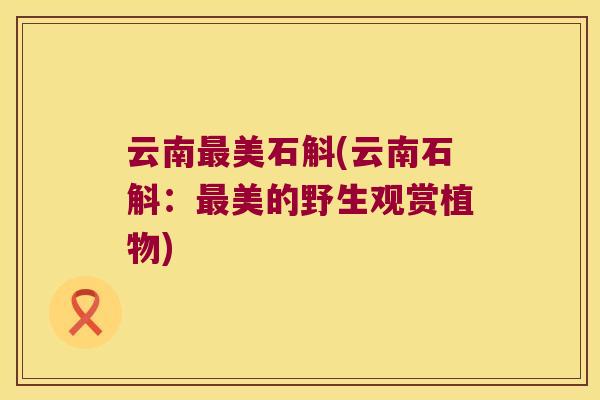 云南美石斛(云南石斛：美的野生观赏植物)