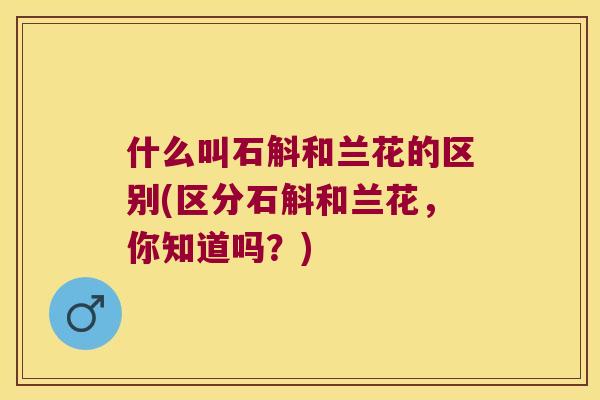 什么叫石斛和兰花的区别(区分石斛和兰花，你知道吗？)