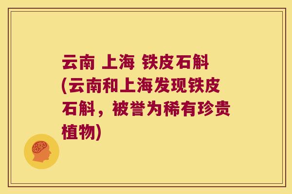 云南 上海 铁皮石斛(云南和上海发现铁皮石斛，被誉为稀有珍贵植物)