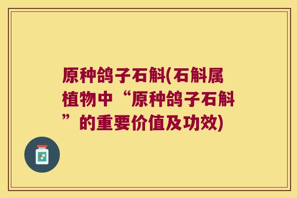 原种鸽子石斛(石斛属植物中“原种鸽子石斛”的重要价值及功效)