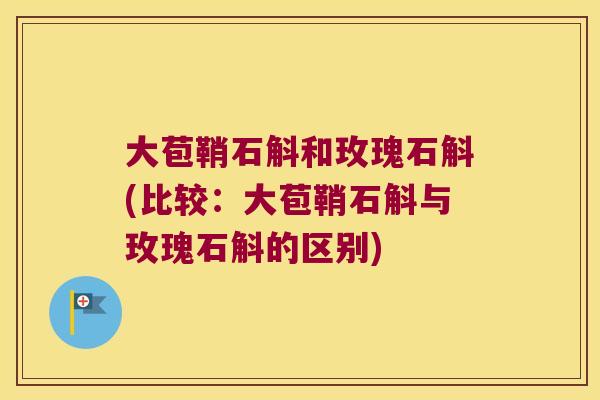 大苞鞘石斛和玫瑰石斛(比较：大苞鞘石斛与玫瑰石斛的区别)