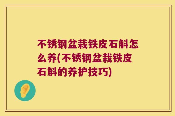 不锈钢盆栽铁皮石斛怎么养(不锈钢盆栽铁皮石斛的养护技巧)