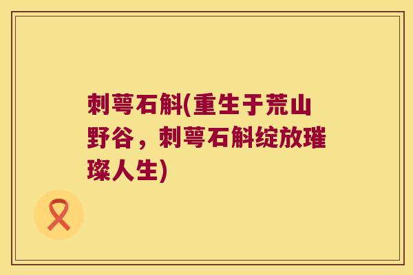 刺萼石斛(重生于荒山野谷，刺萼石斛绽放璀璨人生)