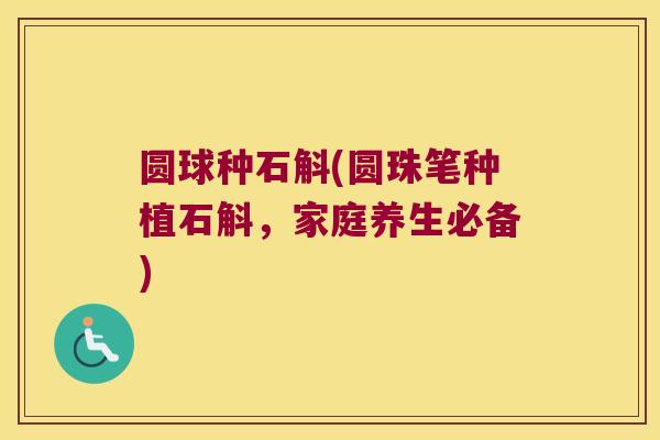 圆球种石斛(圆珠笔种植石斛，家庭养生必备)