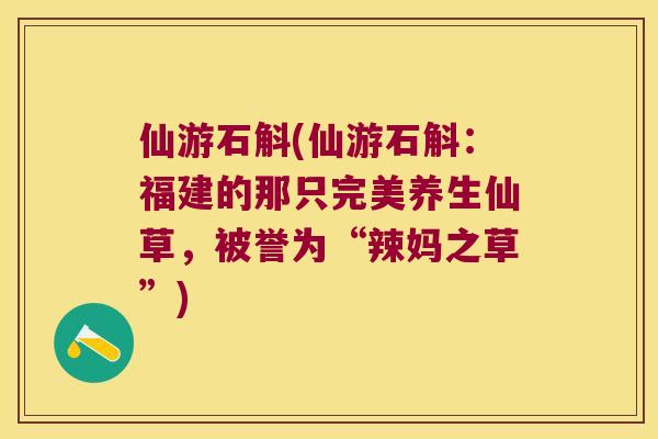 仙游石斛(仙游石斛：福建的那只完美养生仙草，被誉为“辣妈之草”)