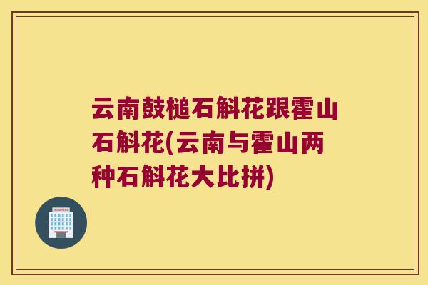 云南鼓槌石斛花跟霍山石斛花(云南与霍山两种石斛花大比拼)