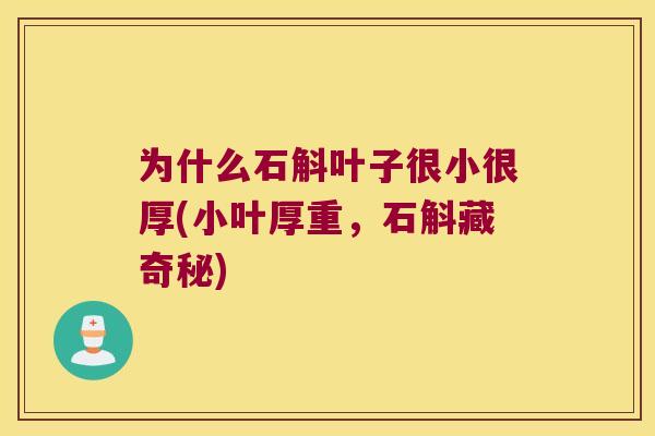 为什么石斛叶子很小很厚(小叶厚重，石斛藏奇秘)