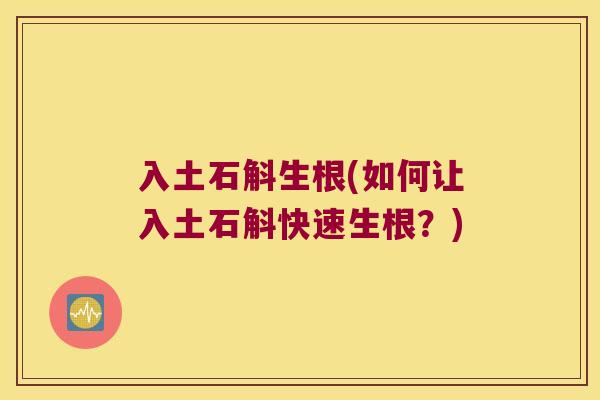 入土石斛生根(如何让入土石斛快速生根？)