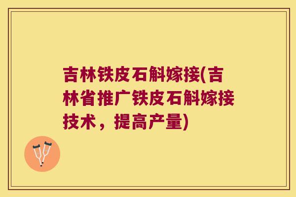 吉林铁皮石斛嫁接(吉林省推广铁皮石斛嫁接技术，提高产量)
