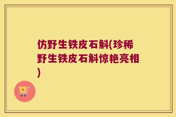 仿野生铁皮石斛(珍稀野生铁皮石斛惊艳亮相)