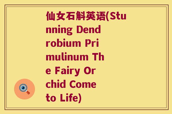 仙女石斛英语(Stunning Dendrobium Primulinum The Fairy Orchid Come to Life)