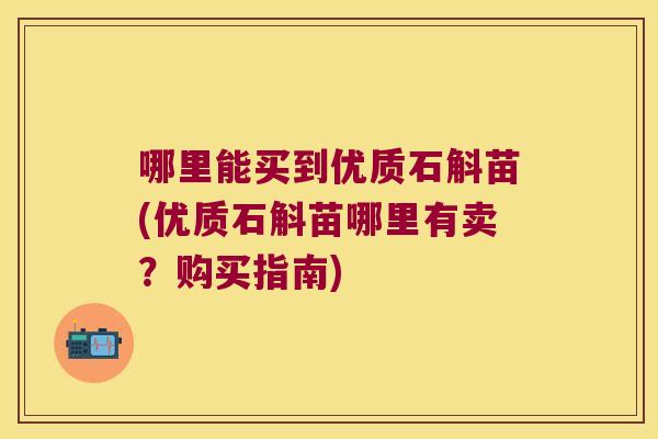 哪里能买到优质石斛苗(优质石斛苗哪里有卖？购买指南)