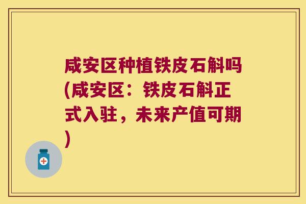 咸安区种植铁皮石斛吗(咸安区：铁皮石斛正式入驻，未来产值可期)