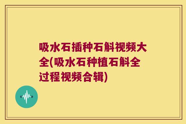 吸水石插种石斛视频大全(吸水石种植石斛全过程视频合辑)