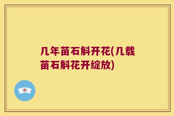 几年苗石斛开花(几载苗石斛花开绽放)