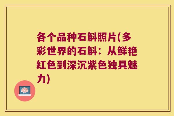 各个品种石斛照片(多彩世界的石斛：从鲜艳红色到深沉紫色独具魅力)