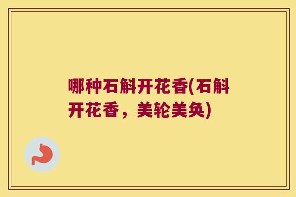 哪种石斛开花香(石斛开花香，美轮美奂)
