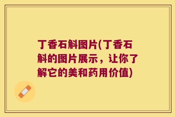 丁香石斛图片(丁香石斛的图片展示，让你了解它的美和药用价值)