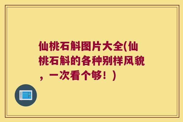 仙桃石斛图片大全(仙桃石斛的各种别样风貌，一次看个够！)