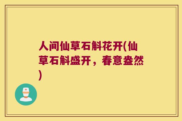 人间仙草石斛花开(仙草石斛盛开，春意盎然)