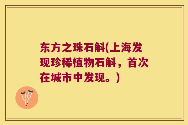 东方之珠石斛(上海发现珍稀植物石斛，首次在城市中发现。)