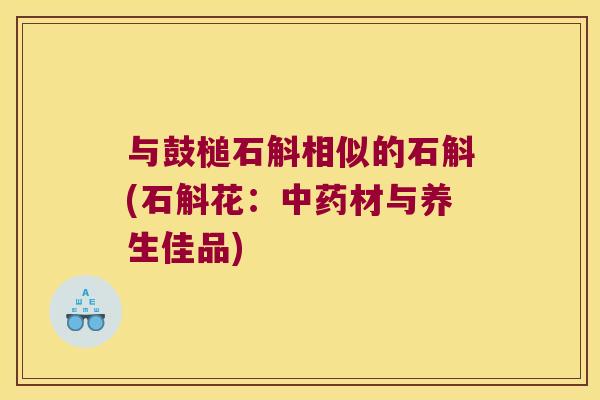 与鼓槌石斛相似的石斛(石斛花：材与养生佳品)