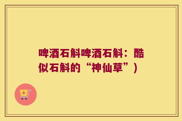 啤酒石斛啤酒石斛：酷似石斛的“神仙草”)
